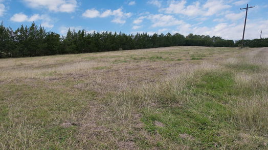 Coldspring null-story, null-bed TBD Padgett Road-idx