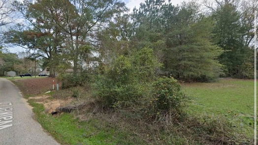 Coldspring null-story, null-bed 251 Walker Lane-idx
