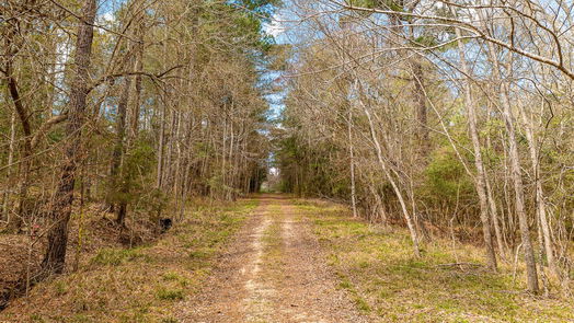 Coldspring null-story, null-bed 01 TBD Timber Lane-idx