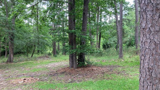Coldspring 1-story, 3-bed 140 S Pine Harbour Drive-idx