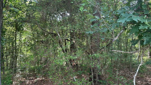 Coldspring null-story, null-bed 000 Spring Creek Lane-idx