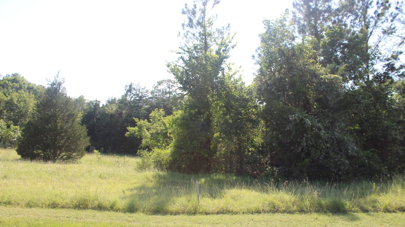 Coldspring null-story, null-bed TBD Ridgeview Drive-idx