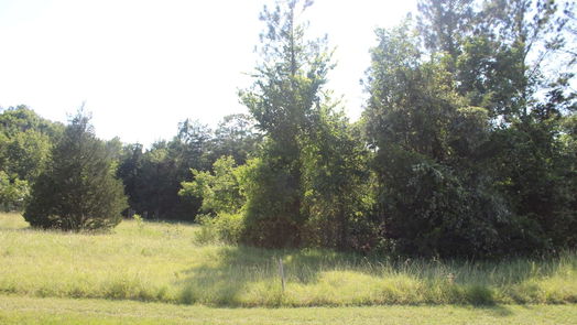 Coldspring null-story, null-bed TBD Ridgeview Drive-idx