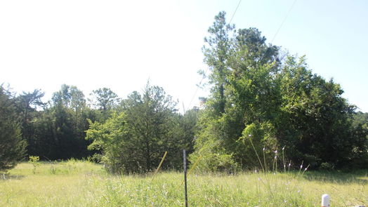Coldspring null-story, null-bed TBD Ridgeview Drive-idx