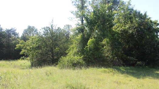 Coldspring null-story, null-bed TBD Ridgeview Drive-idx