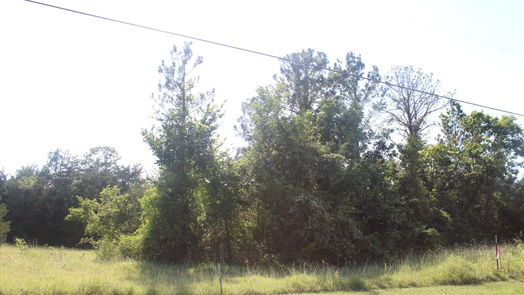 Coldspring null-story, null-bed TBD Ridgeview Drive-idx
