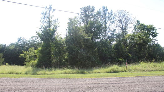 Coldspring null-story, null-bed TBD Ridgeview Drive-idx