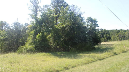 Coldspring null-story, null-bed TBD Ridgeview Drive-idx