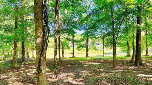 Coldspring null-story, null-bed Lot 13 Harrell Cemetery Rd-idx
