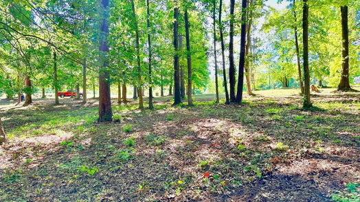 Coldspring null-story, null-bed Lot 13 Harrell Cemetery Rd-idx