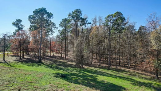 Coldspring null-story, null-bed Lot 13 Harrell Cemetery Rd-idx