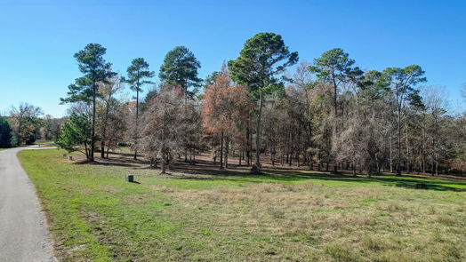 Coldspring null-story, null-bed Lot 13 Harrell Cemetery Rd-idx
