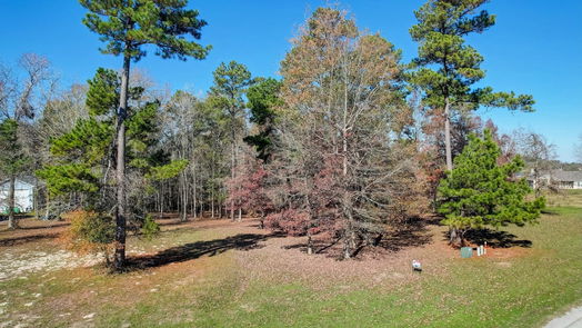 Coldspring null-story, null-bed Lot 13 Harrell Cemetery Rd-idx