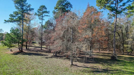 Coldspring null-story, null-bed Lot 13 Harrell Cemetery Rd-idx
