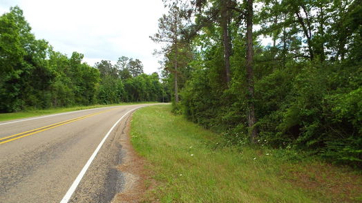 Coldspring null-story, null-bed TBD 00 Fm-222 Loop S Highway-idx