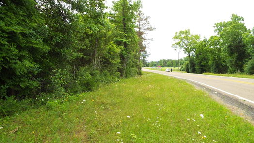 Coldspring null-story, null-bed TBD 00 Fm-222 Loop S Highway-idx