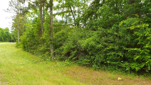 Coldspring null-story, null-bed TBD 00 Fm-222 Loop S Highway-idx