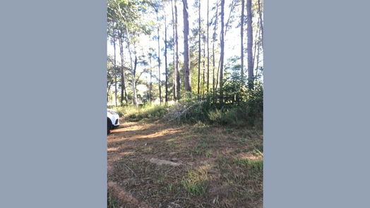 Coldspring null-story, null-bed TBD 00 Fm-222 Loop S Highway-idx