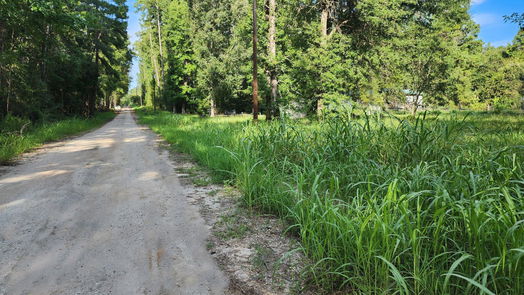 Coldspring null-story, null-bed 0 The Woods Road-idx