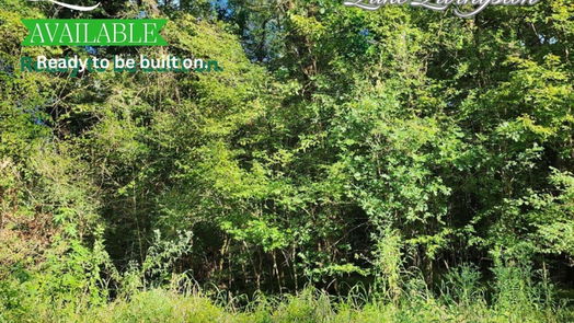 Coldspring null-story, null-bed 0 The Woods Road-idx