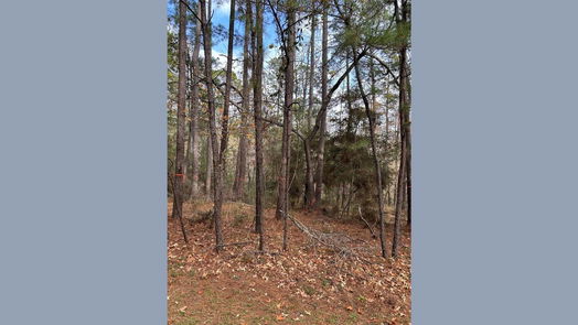 Coldspring null-story, null-bed 210 Twinstone Drive-idx