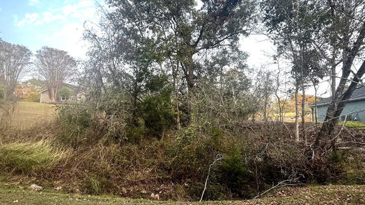 Coldspring null-story, null-bed 106 S Pine Harbour Drive-idx