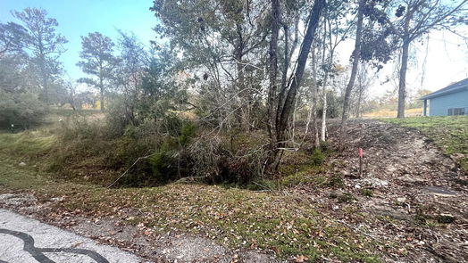 Coldspring null-story, null-bed 106 S Pine Harbour Drive-idx