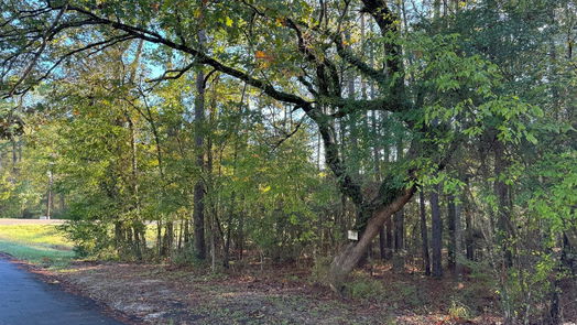 Coldspring null-story, null-bed TBD Everitt Lane-idx