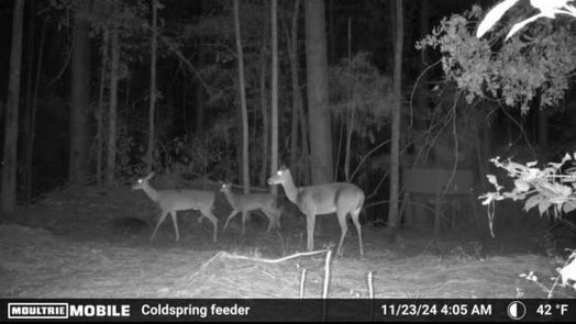 Coldspring 1-story, 1-bed TBD James Lane-idx