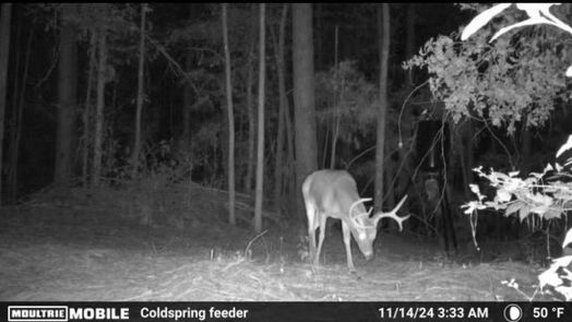 Coldspring 1-story, 1-bed TBD James Lane-idx