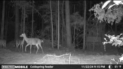 Coldspring 1-story, 1-bed TBD James Lane-idx