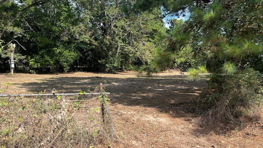 Goodrich 2-story, 0-bed 289 E Windham Ranch Road-idx