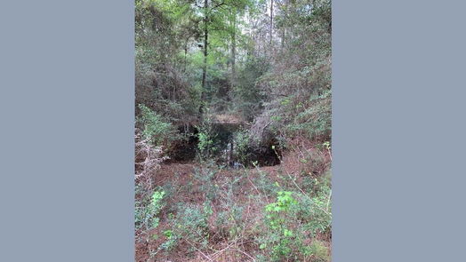 Goodrich null-story, null-bed 967 County Road-idx