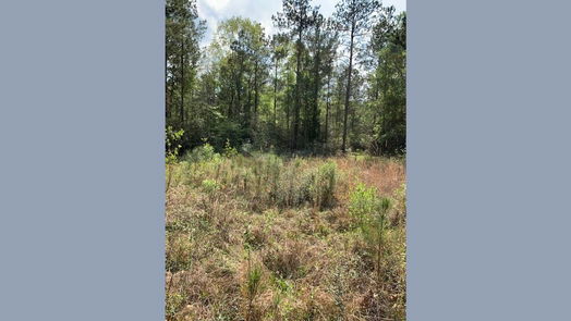 Goodrich null-story, null-bed 967 County Road-idx