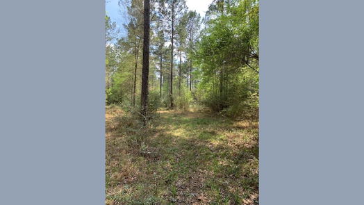 Goodrich null-story, null-bed 967 County Road-idx