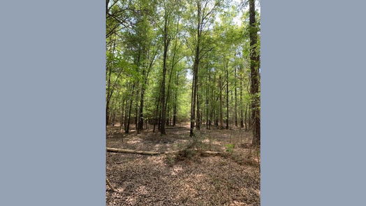 Goodrich null-story, null-bed 967 County Road-idx