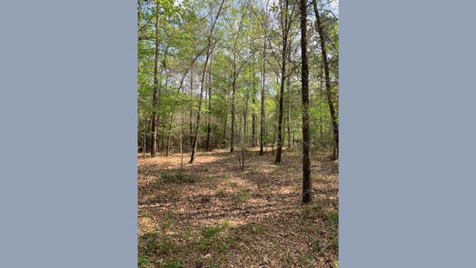 Goodrich null-story, null-bed 967 County Road-idx