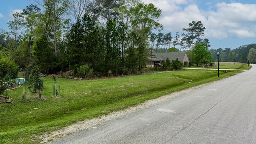 Houston null-story, null-bed 28543 Monterey Cliff Lane-idx