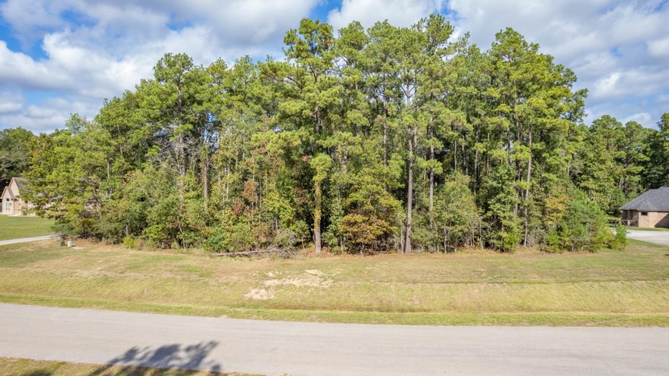 Houston null-story, null-bed 823 Carriage View Lane-idx