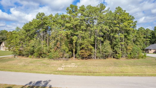 Houston null-story, null-bed 823 Carriage View Lane-idx