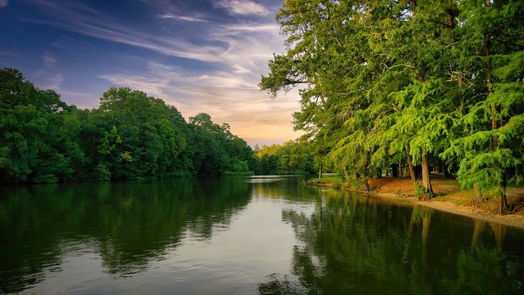 Houston null-story, null-bed 823 Carriage View Lane-idx