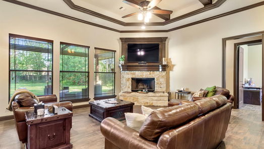 Houston 1-story, 3-bed 831 Carriage View Lane-idx