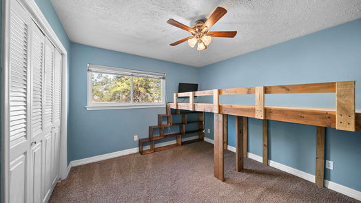 Houston 2-story, 3-bed 319 Blue Tail Drive-idx