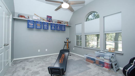 Houston 2-story, 4-bed 2227 Blossom Creek Trail-idx