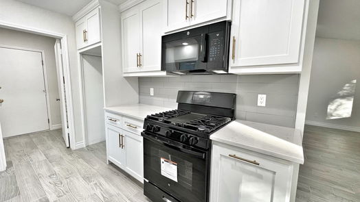 Houston 1-story, 3-bed 4139 Sweet Gum Trail-idx