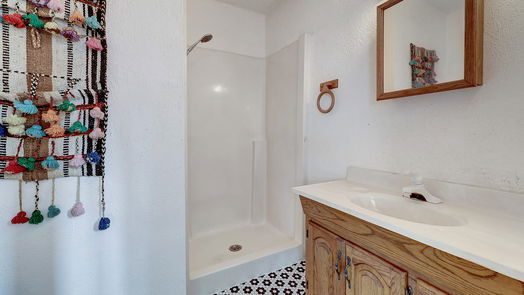 Houston 2-story, 4-bed 2119 Rolling Meadows Drive-idx