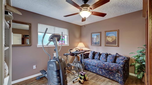 Houston 2-story, 4-bed 2119 Rolling Meadows Drive-idx