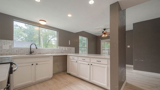 Houston 2-story, 4-bed 3102 Birch Creek Drive-idx