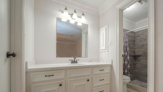 Houston 2-story, 4-bed 3102 Birch Creek Drive-idx