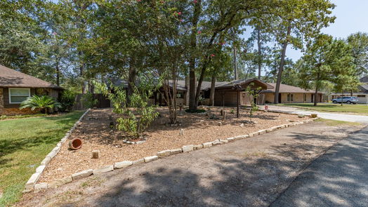 Houston 1-story, 3-bed 1202 Burning Tree Road-idx